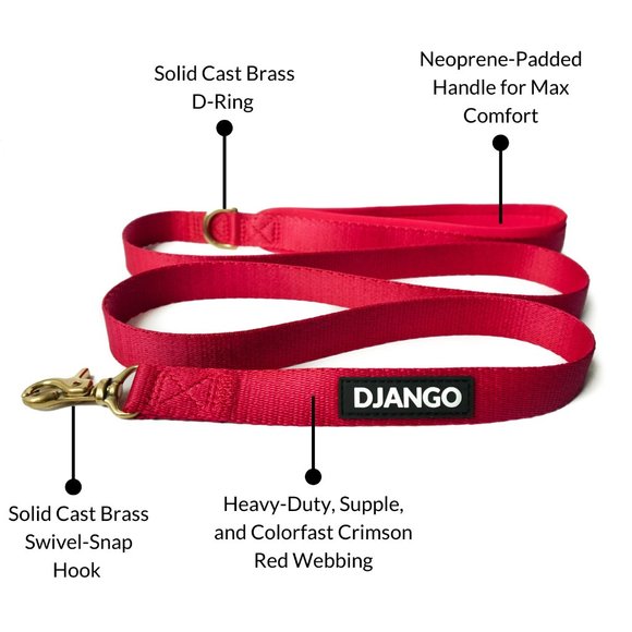 ✨NWOT✨Django Harness & Leash Set - Picture 7 of 7